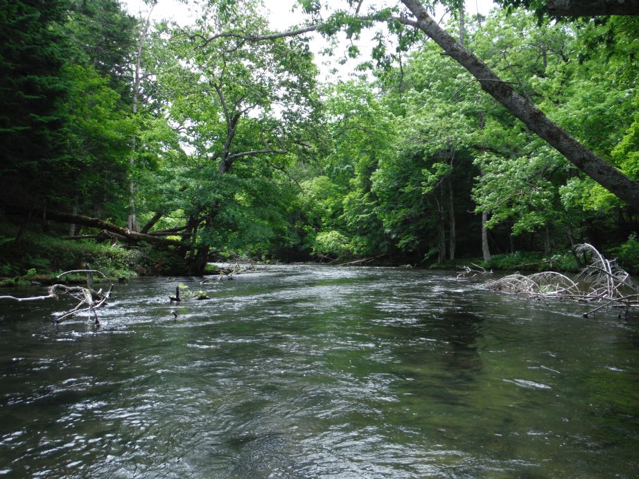 b0172805_13353086.jpg