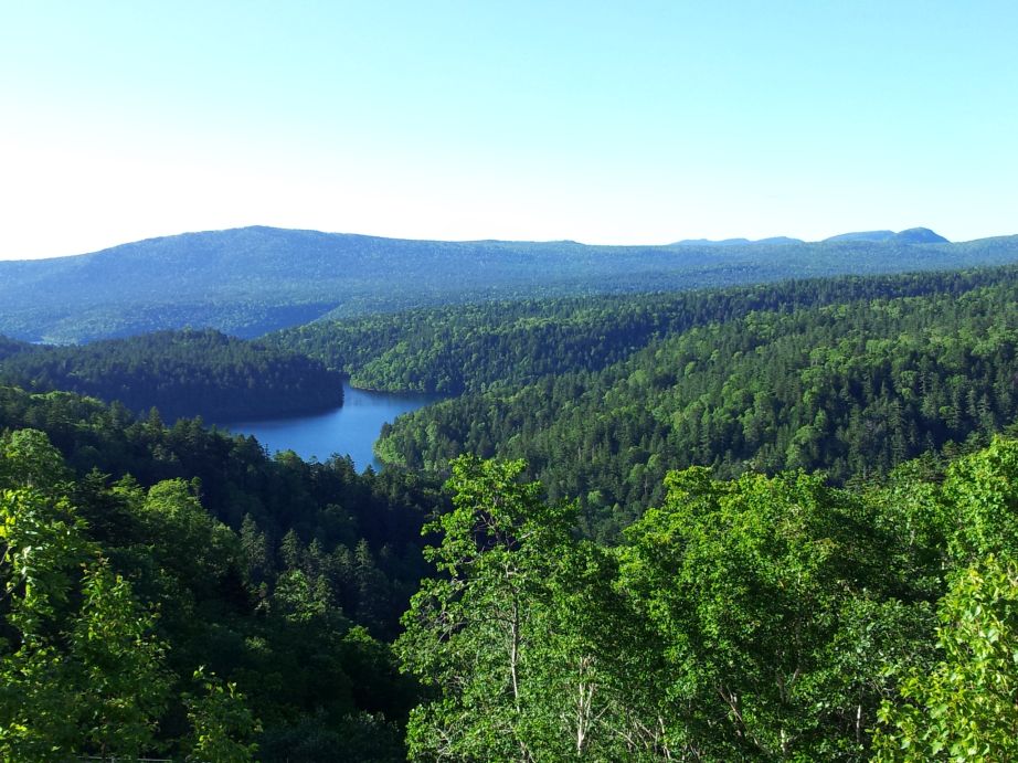 b0172805_14125749.jpg