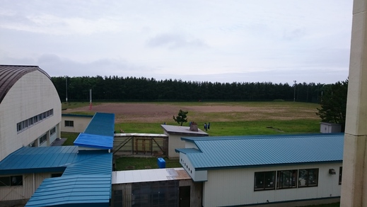 d0149105_17333580.jpg