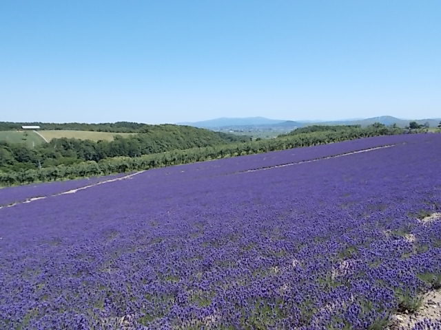 f0316507_21115032.jpg
