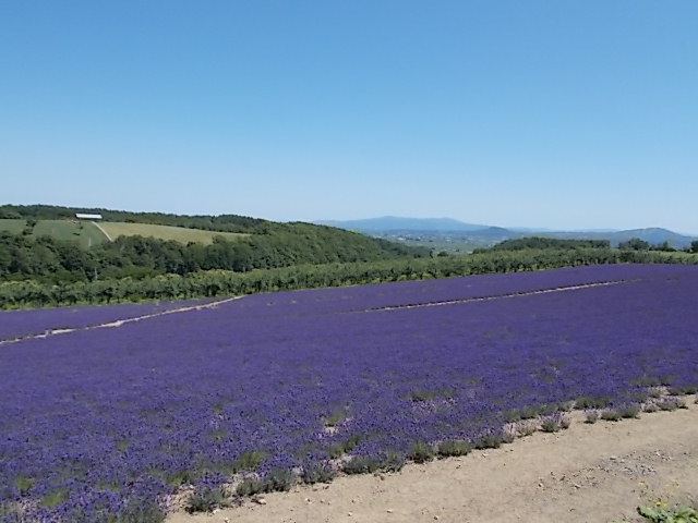 f0316507_21115880.jpg