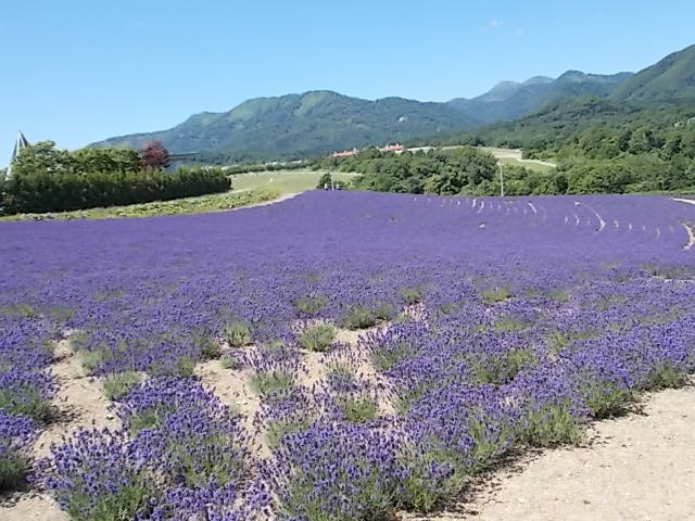 f0316507_21155686.jpg