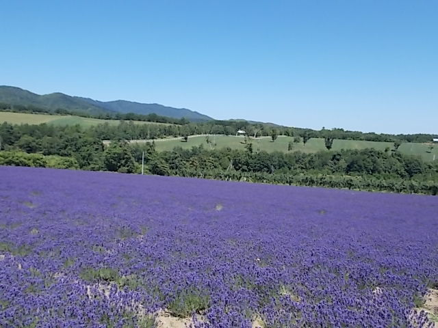 f0316507_21195530.jpg