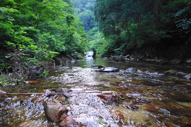 e0123808_1219100.jpg