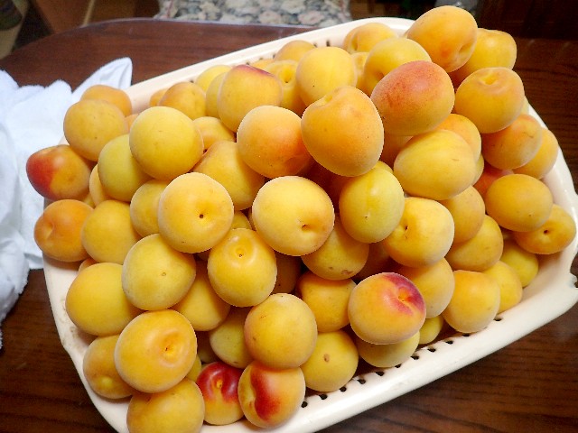 f0043911_12422393.jpg