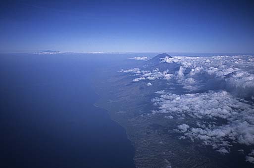 b0042837_51253.jpg