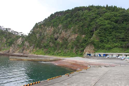 f0147037_14204213.jpg