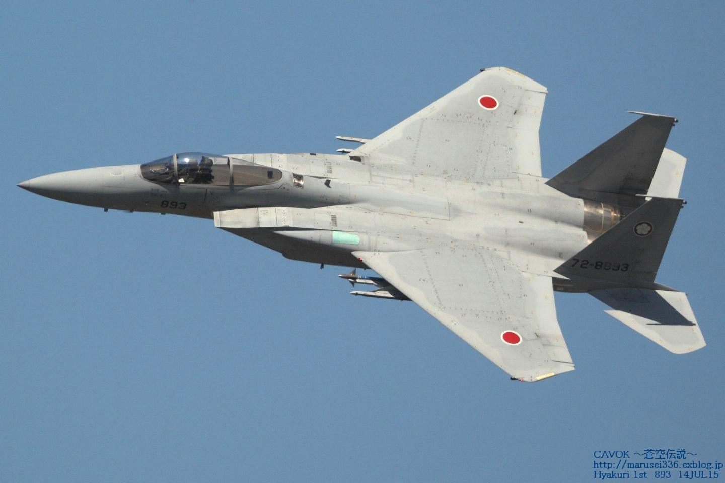 d0193838_8483059.jpg
