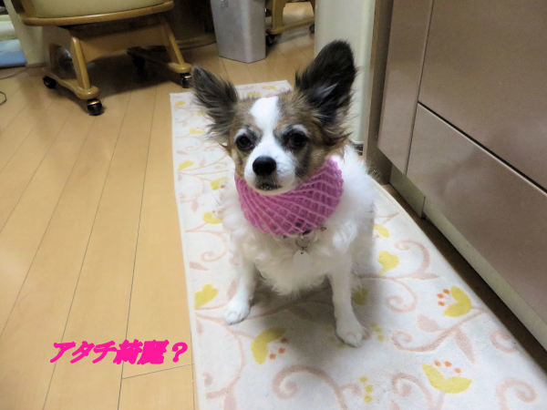 a0149240_21081730.jpg