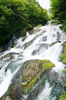 c0225143_1795226.jpg