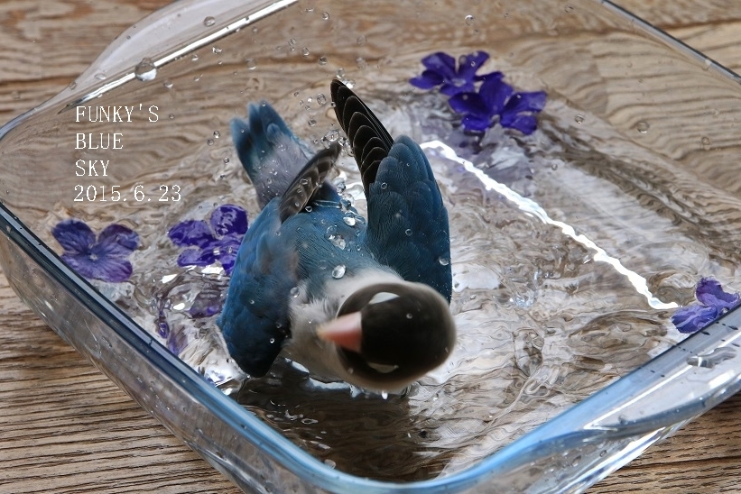c0145250_11060759.jpg