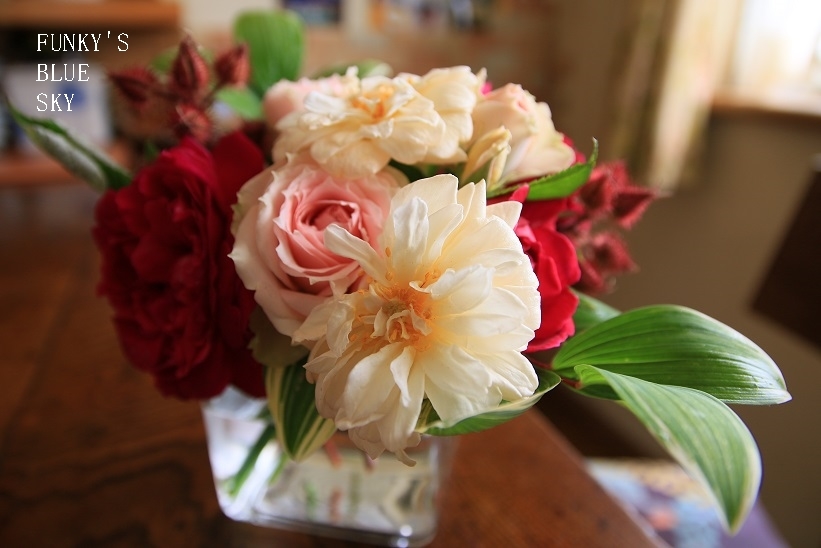 c0145250_11232251.jpg