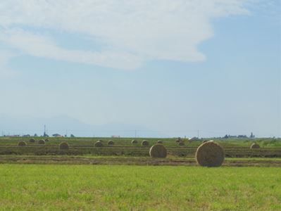 b0220251_6425490.jpg