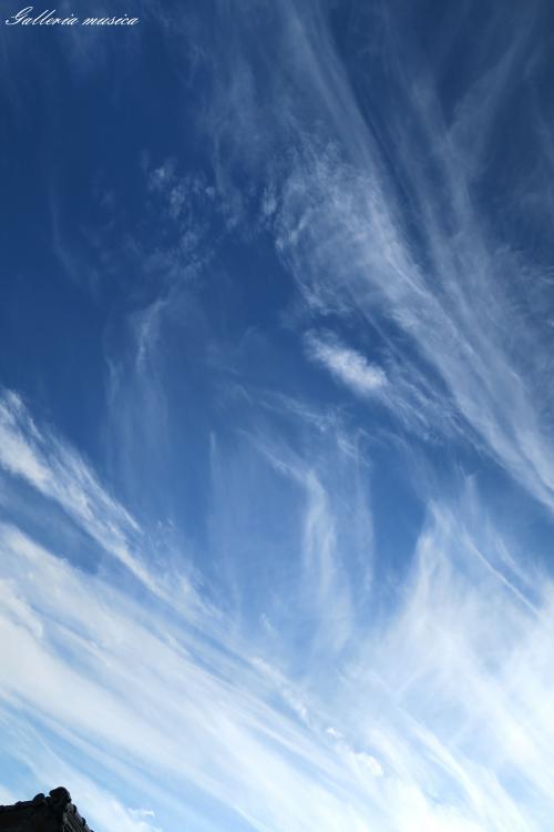 f0351853_02441449.jpg