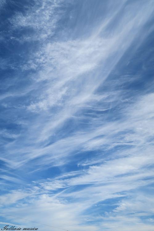 f0351853_02441772.jpg