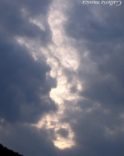 f0351853_02443284.jpg