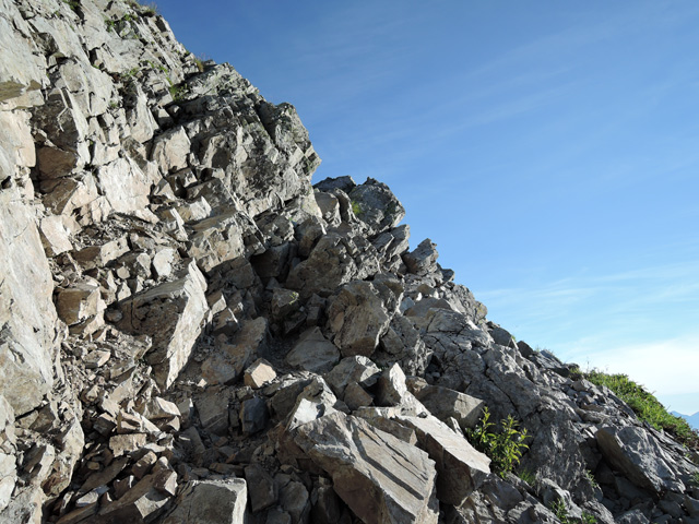 c0116856_8421188.jpg
