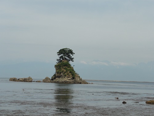 d0029363_20193567.jpg
