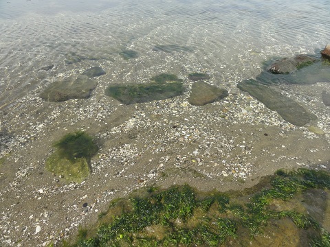 d0029363_20195736.jpg