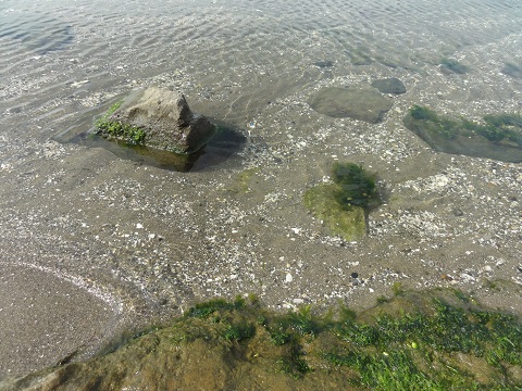 d0029363_202049.jpg