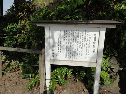 d0029363_20205534.jpg