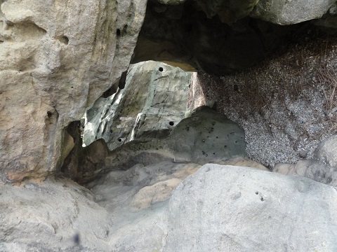 d0029363_22553537.jpg