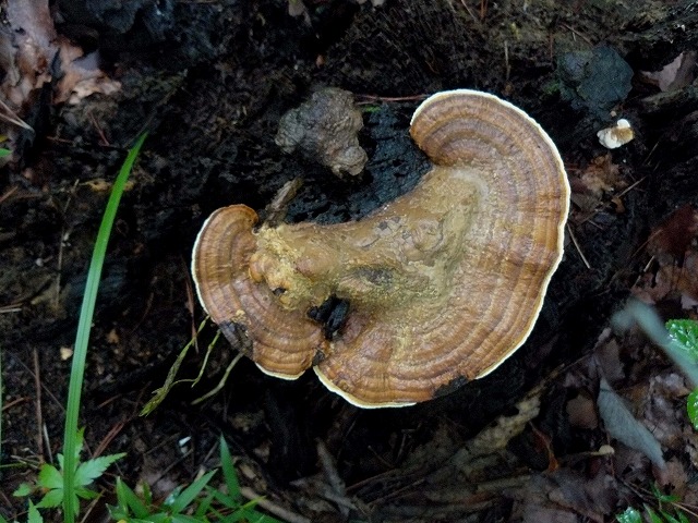 d0019074_11413394.jpg