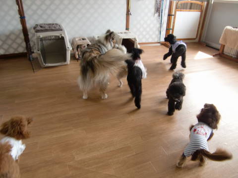 a0338800_15440188.jpg