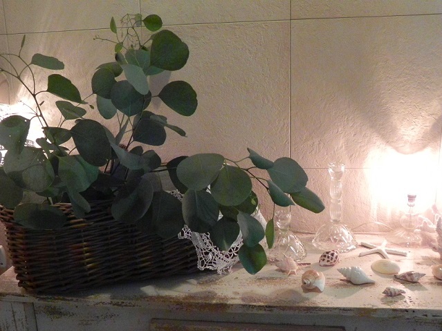 c0152002_10492030.jpg