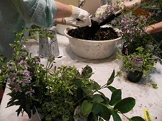 c0152002_10500111.jpg