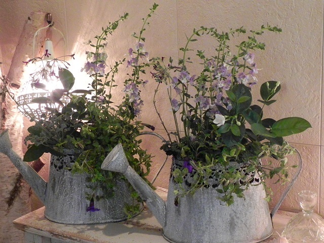 c0152002_10522549.jpg