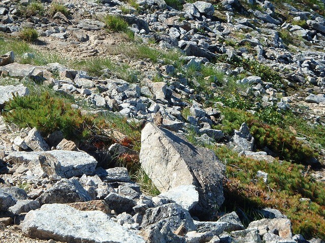 b0326303_23302934.jpg