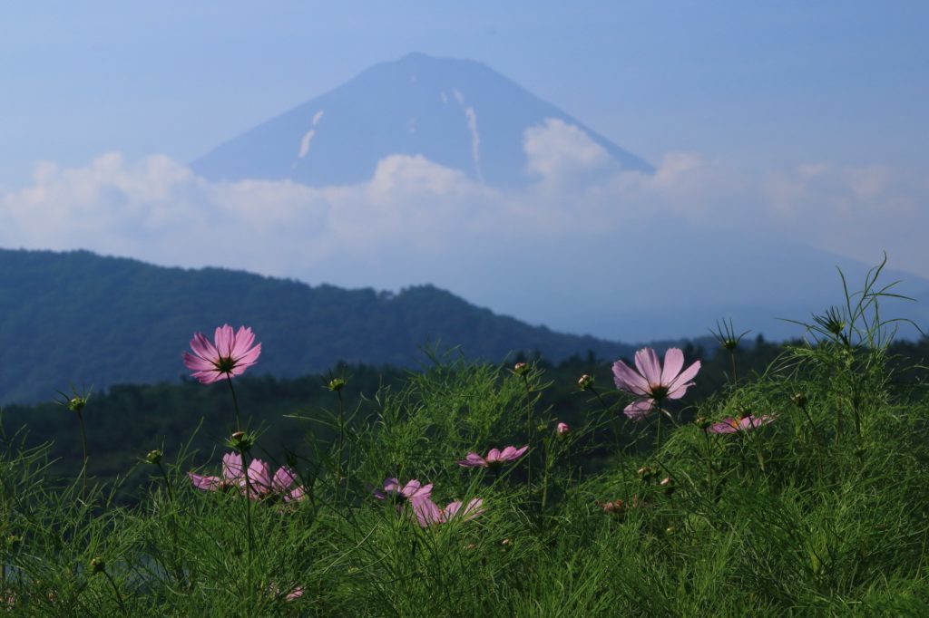 a0188405_04405507.jpg