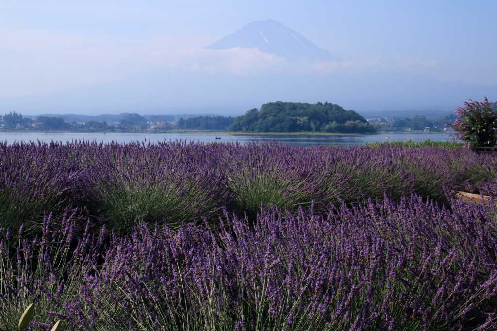 a0188405_22403821.jpg