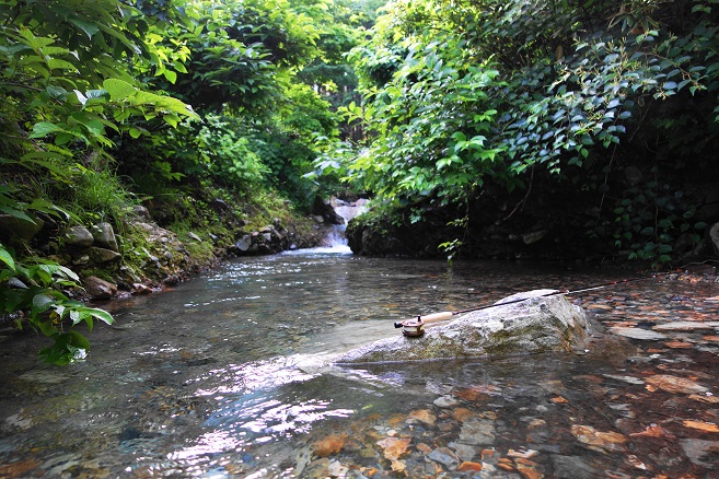 e0123808_17485327.jpg