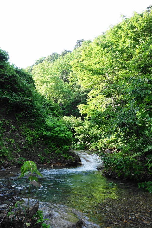 e0123808_174947100.jpg