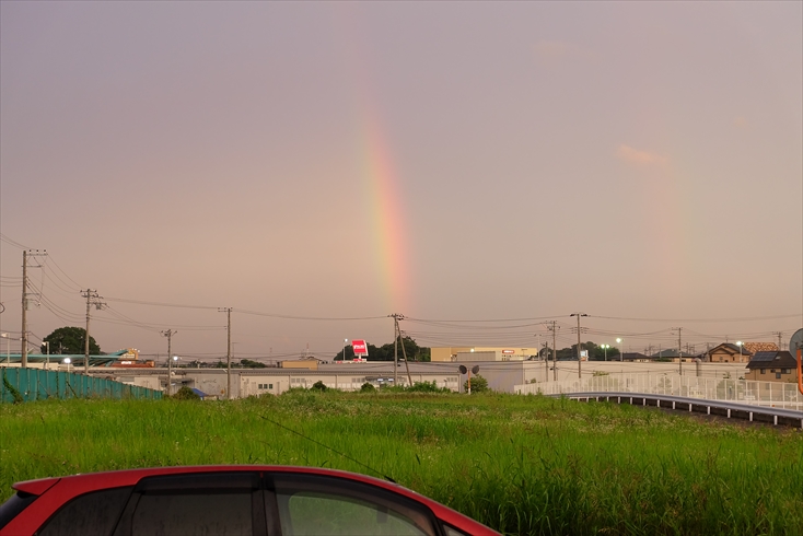 f0113108_753485.jpg