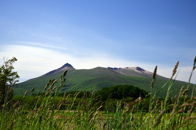 f0046614_13561920.jpg