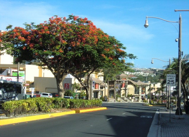 c0095424_9353919.jpg