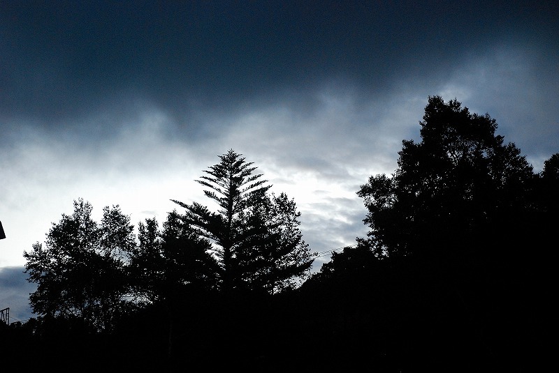 c0358326_05412315.jpg