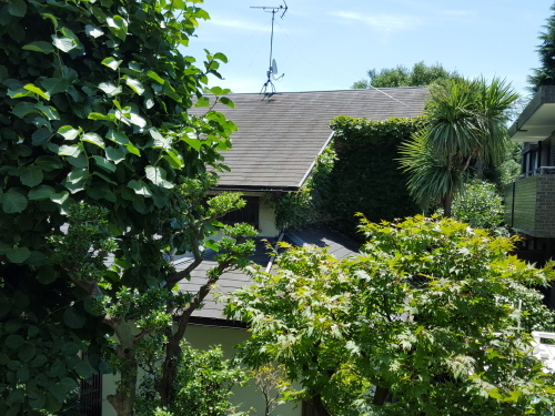 e0016828_10504339.jpg