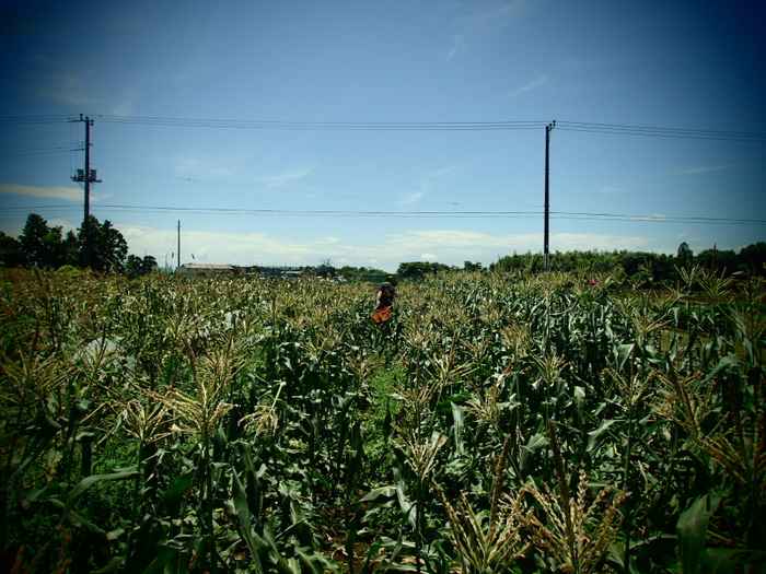 c0034029_20482614.jpg