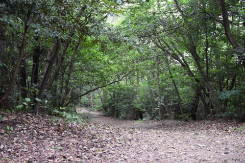 b0312230_17515842.jpg