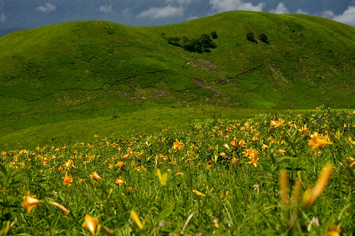 b0236334_16454074.jpg