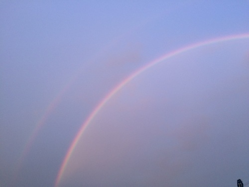 a0314846_17462378.jpg