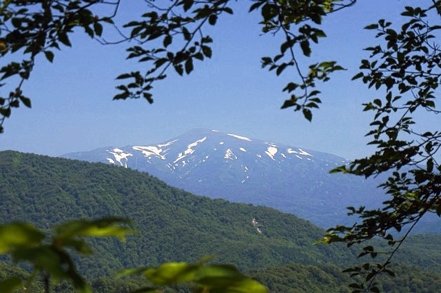 b0122448_10364625.jpg