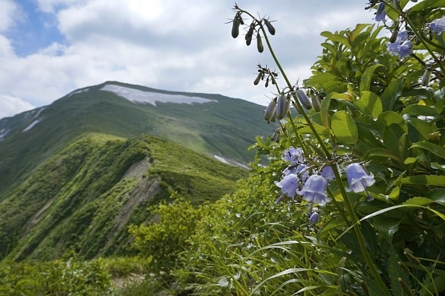 b0122448_10492077.jpg