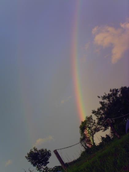 c0358850_12035550.jpg
