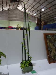 e0138350_2217432.jpg
