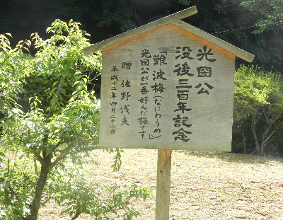 e0172950_753293.jpg